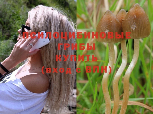 прущая мука Белокуриха