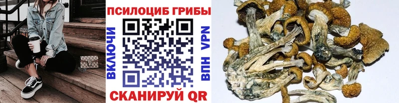 Галлюциногенные грибы MAGIC MUSHROOMS Свободный